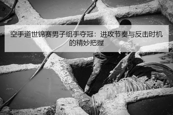 空手道世锦赛男子组手夺冠：进攻节奏与反击时机的精妙把握