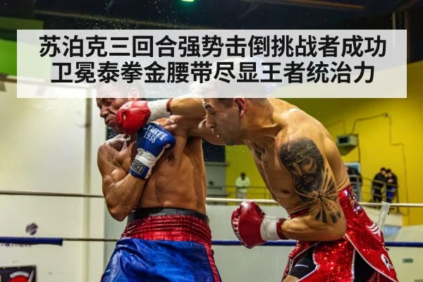 苏泊克三回合强势击倒挑战者成功卫冕泰拳金腰带尽显王者统治力